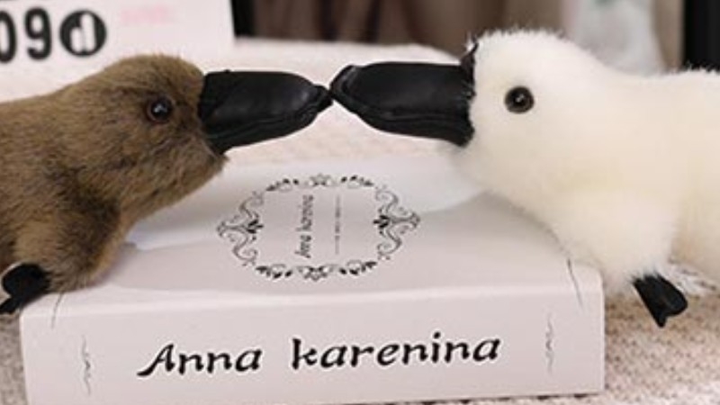 �y�V�̃J���m�n�V(���{�j���킢���ʂ�����݃��A�����T�C�g